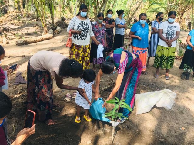 ‘Haritha Deyak’ National Home Gardening Program